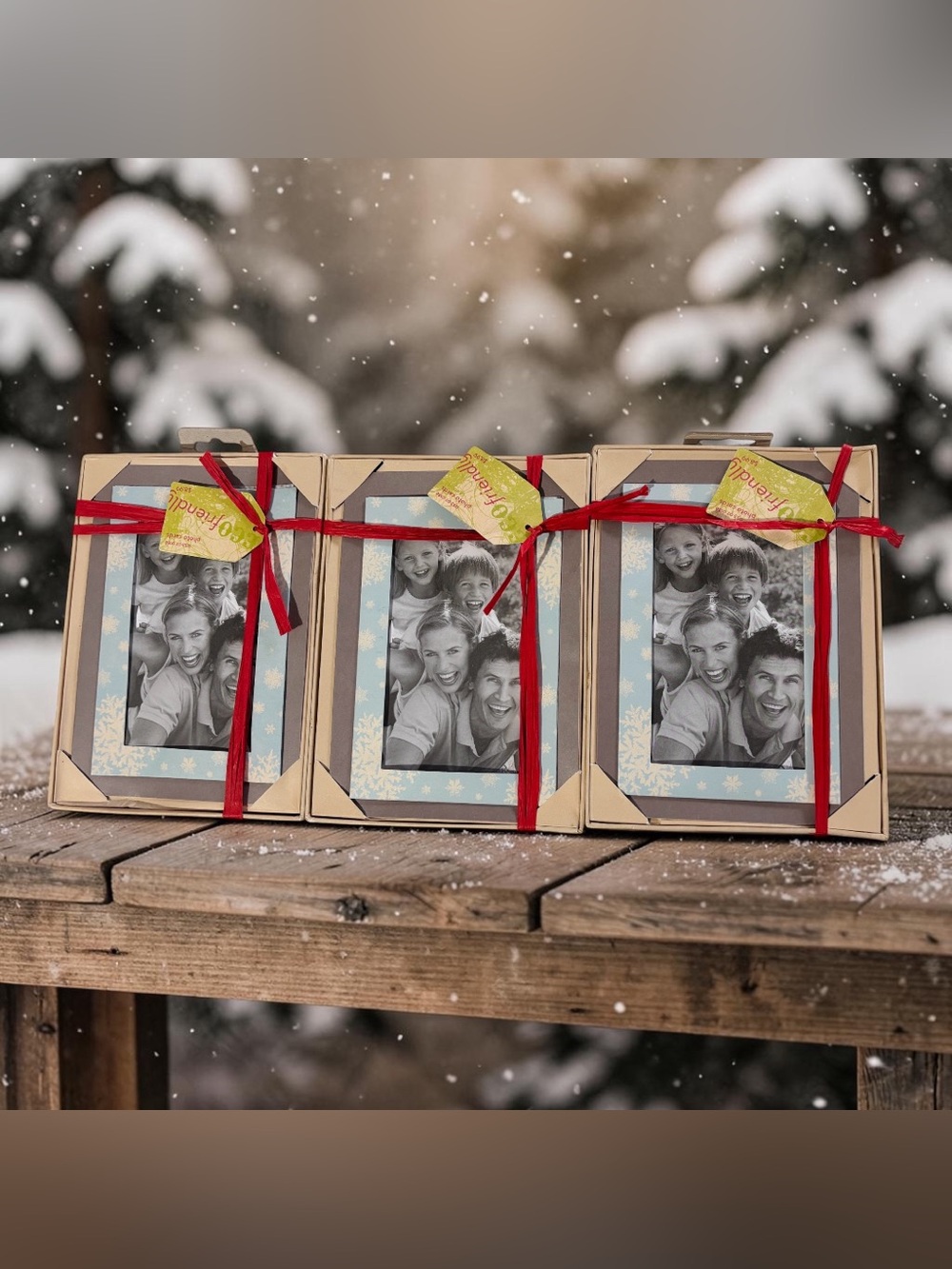 Lot of 3 boxes- Gartner Eco Seasonal Photo Card-8ct. NIB